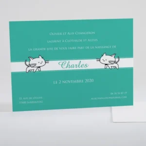 Faire-part de naissance Double petits chats*Faire-part Elégant Hot