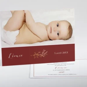 Faire-part de naissance Douceur doree*Faire-part Elégant New
