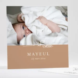 Faire-part de naissance Doux brin*Faire-part Elégant Discount