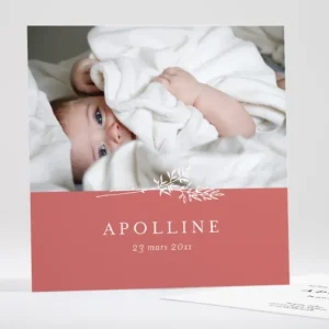 Faire-part de naissance Doux brin*Faire-part Elégant Discount