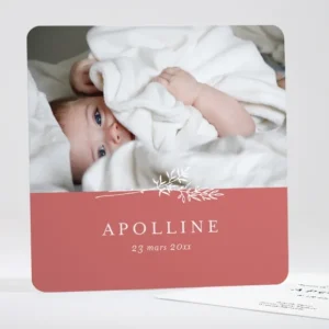 Faire-part de naissance Doux brin*Faire-part Elégant Discount
