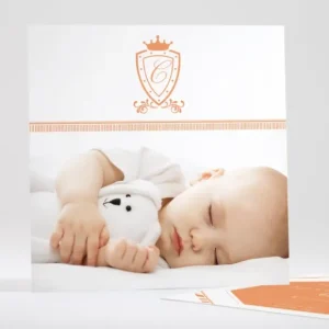 Faire-part de naissance Ecusson chic*Faire-part Elégant Online