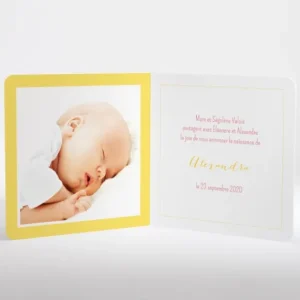 Faire-part de naissance Elegante ballerine livret*Faire-part Elégant Hot