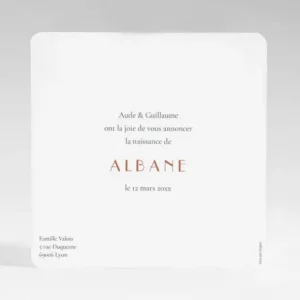 Faire-part de naissance Elegante couronne argent*Faire-part Elégant Discount