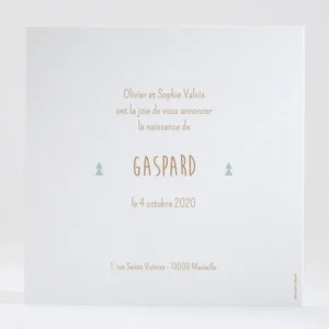 Faire-part de naissance En foret*Faire-part Elégant Best