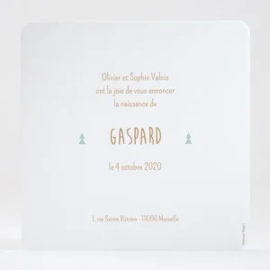 Faire-part de naissance En foret*Faire-part Elégant Best