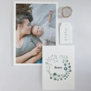 Faire-part de naissance Eucalyptus*Faire-part Elégant Online