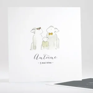 Faire-part de naissance Famille simple*Faire-part Elégant Online
