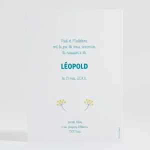 Faire-part de naissance Family love boy*Faire-part Elégant New