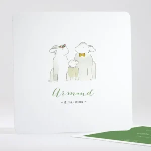 Faire-part de naissance Famille simple*Faire-part Elégant Online