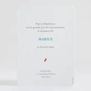 Faire-part de naissance Fanfare portrait garcon*Faire-part Elégant Discount