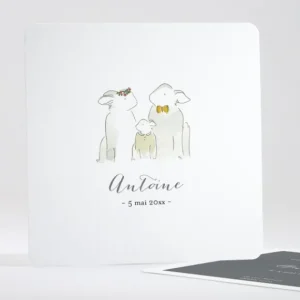 Faire-part de naissance Famille simple*Faire-part Elégant Online