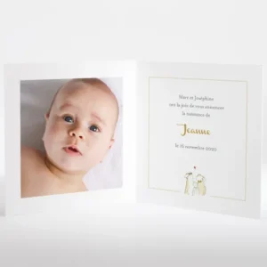Faire-part de naissance Famille*Faire-part Elégant Discount