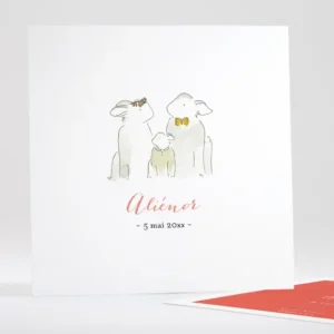 Faire-part de naissance Famille simple*Faire-part Elégant Online