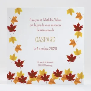 Faire-part de naissance Feuilles d'automne*Faire-part Elégant Best
