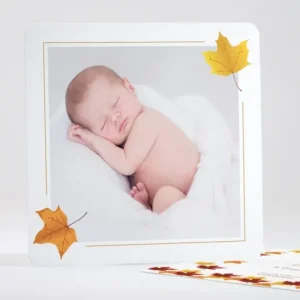 Faire-part de naissance Feuilles d'automne*Faire-part Elégant Best