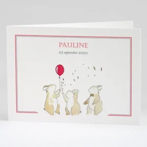 Faire-part de naissance Festivite*Faire-part Elégant New