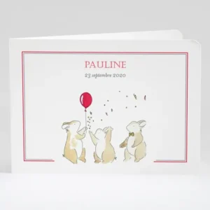 Faire-part de naissance Festivite*Faire-part Elégant New
