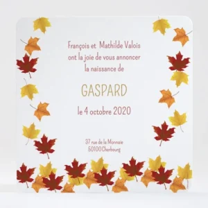 Faire-part de naissance Feuilles d'automne*Faire-part Elégant Best