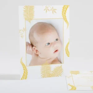 Faire-part de naissance Feuilles colorees*Faire-part Elégant Sale