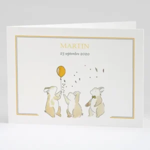 Faire-part de naissance Festivite*Faire-part Elégant New