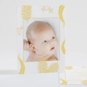 Faire-part de naissance Feuilles colorees*Faire-part Elégant Sale