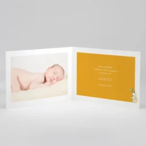 Faire-part de naissance Festivite*Faire-part Elégant New