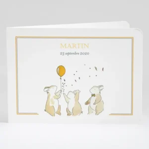 Faire-part de naissance Festivite*Faire-part Elégant New