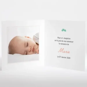 Faire-part de naissance Flamants*Faire-part Elégant New
