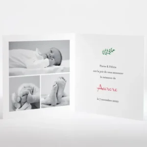 Faire-part de naissance Floral*Faire-part Elégant Hot