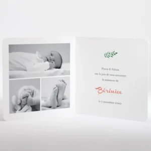 Faire-part de naissance Floral*Faire-part Elégant Hot
