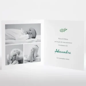 Faire-part de naissance Floral*Faire-part Elégant Hot