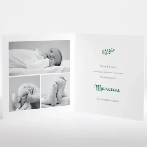 Faire-part de naissance Floral*Faire-part Elégant Hot