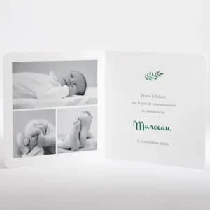 Faire-part de naissance Floral*Faire-part Elégant Hot