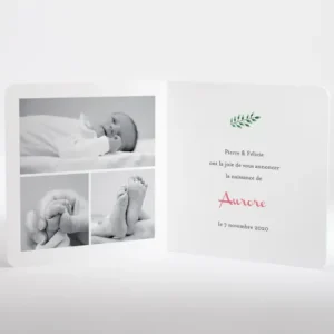 Faire-part de naissance Floral*Faire-part Elégant Hot