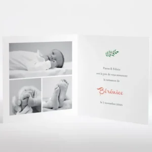 Faire-part de naissance Floral*Faire-part Elégant Hot