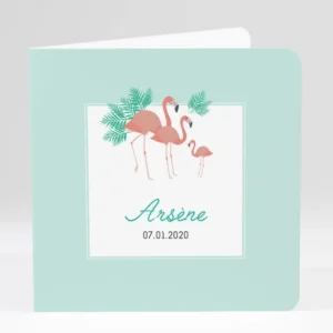 Faire-part de naissance Flamants*Faire-part Elégant New
