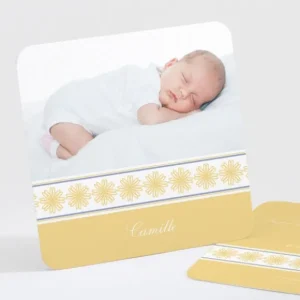 Faire-part de naissance Frise fleurs roses legeres*Faire-part Elégant Discount