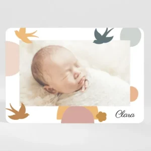 Faire-part de naissance Gazouillis*Faire-part Elégant Clearance