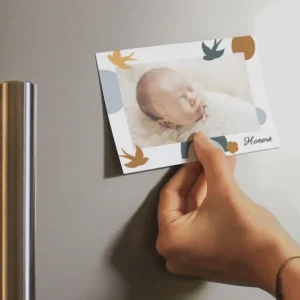 Faire-part de naissance Gazouillis*Faire-part Elégant Clearance
