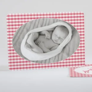 Faire-part de naissance Girafe petit vichy*Faire-part Elégant Sale