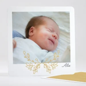 Faire-part de naissance Graminees*Faire-part Elégant Outlet