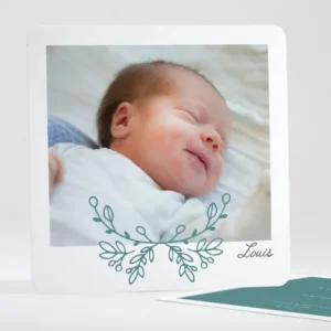 Faire-part de naissance Graminees*Faire-part Elégant Outlet