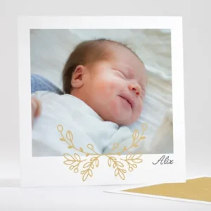 Faire-part de naissance Graminees*Faire-part Elégant Outlet