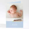 Faire-part de naissance Herissons en famille*Faire-part Elégant Fashion