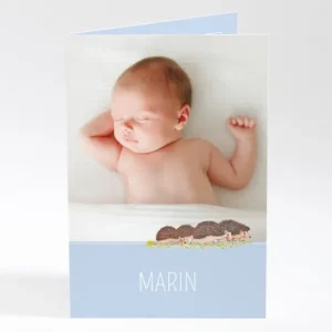 Faire-part de naissance Herissons en famille*Faire-part Elégant Fashion