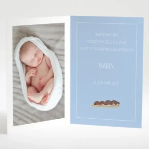 Faire-part de naissance Herissons en famille*Faire-part Elégant Fashion