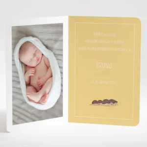 Faire-part de naissance Herissons en famille*Faire-part Elégant Fashion