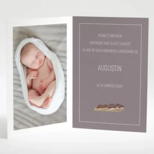 Faire-part de naissance Herissons en famille*Faire-part Elégant Fashion