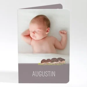 Faire-part de naissance Herissons en famille*Faire-part Elégant Fashion